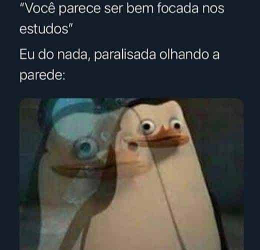 Meme sobre foco nos estudos